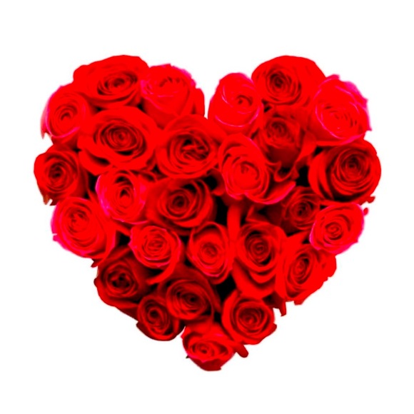 HAPPY SHOPPING POSH FRIENDS! - Picture 4 of 4